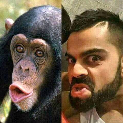 India Moments a man with a beard and a monkey on his shoulder
